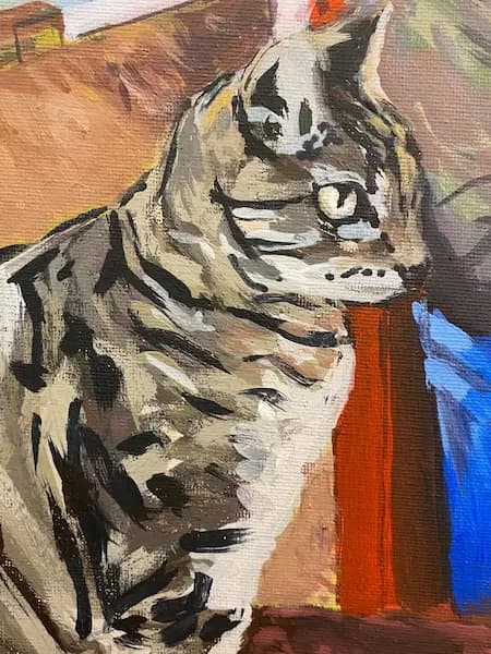 Gato