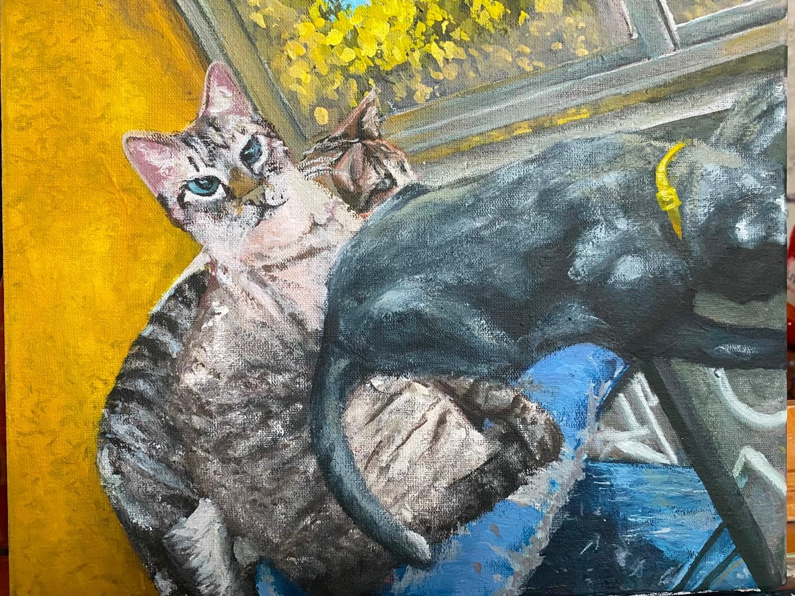 Gatos de Julio